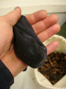 tvättnötter i påse